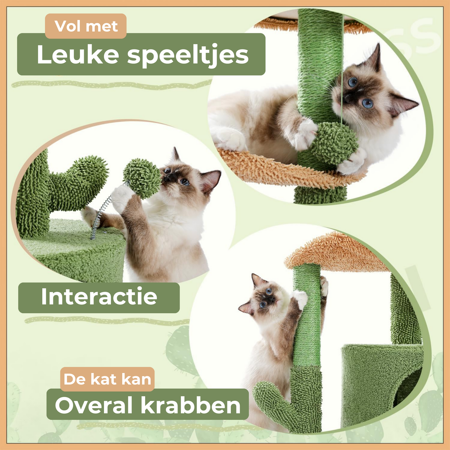 Cactus Krabpaal voor katten