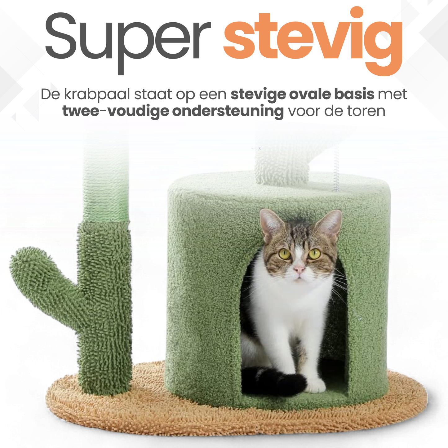 Cactus Krabpaal voor katten