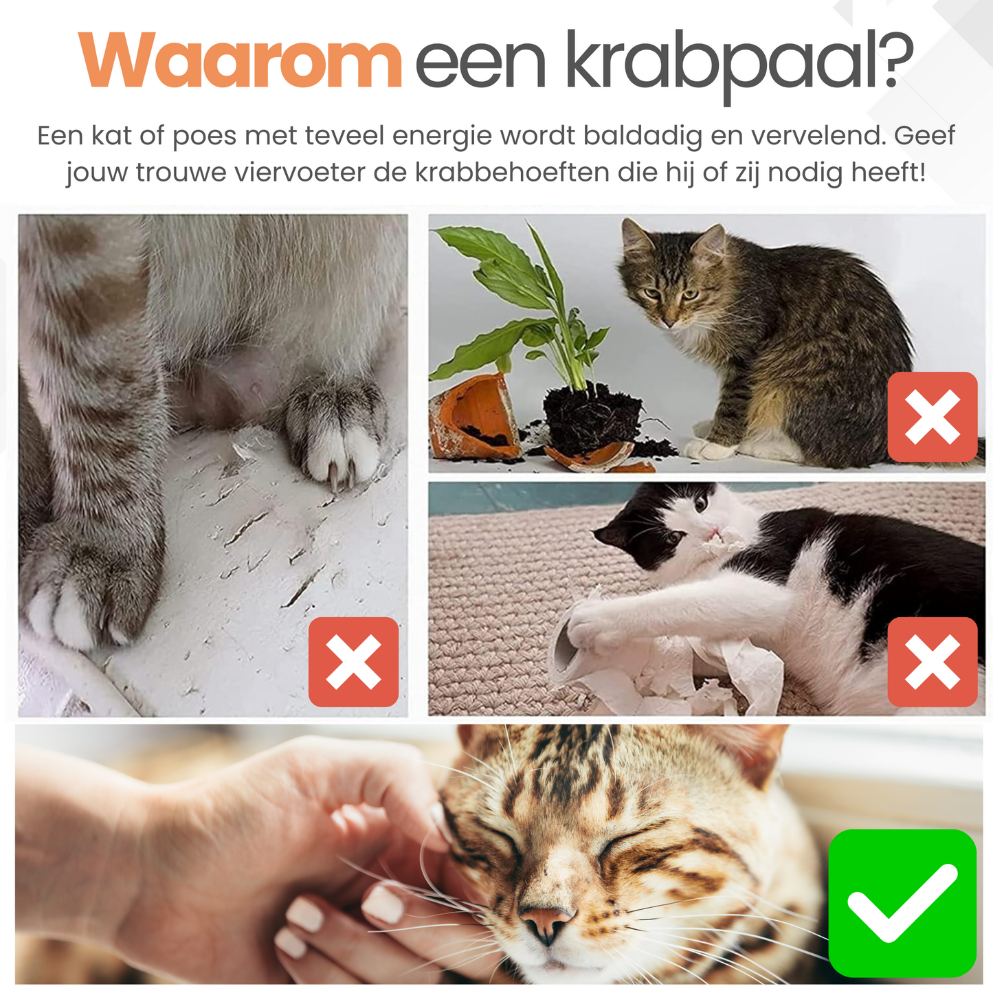 Cactus Krabpaal voor katten