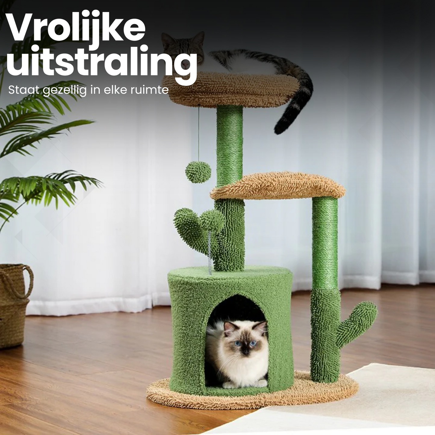 Cactus Krabpaal voor katten